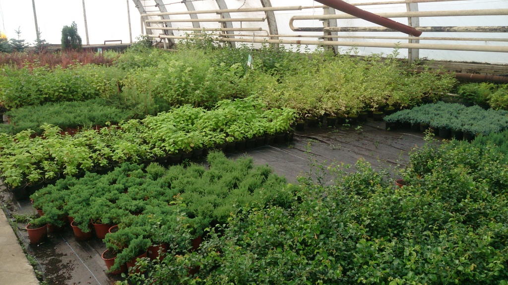 DSC_5070.jpg DSC_5070.jpg