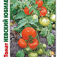 Томат (Помидор) обыкновенный Невский юбилейный