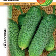 Огурец  Шремски F1
